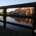 IMG_829080