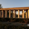 IMG_829136