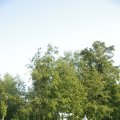 00415J2011