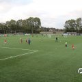 IMG_829161