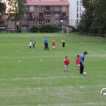IMG_829175