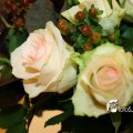IMG_830387