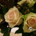 IMG_830468
