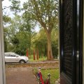 IMG_829647