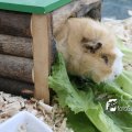 IMG_830478