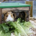IMG_830482