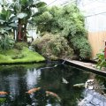 IMG_830484