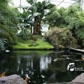 IMG_830486