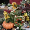 IMG_830494