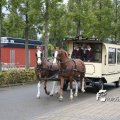 IMG_830496