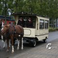 IMG_830498