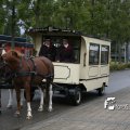 IMG_830499