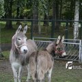 IMG_830503