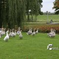 IMG_830505