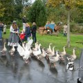 IMG_830591