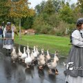 IMG_830593