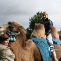 IMG_830595