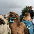 IMG_830596