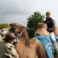 IMG_830597