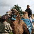IMG_830598
