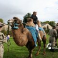 IMG_830600