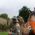 IMG_830602