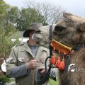 IMG_830607