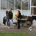 IMG_830609