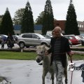 IMG_830610