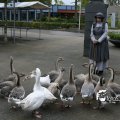 IMG_830623