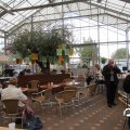 IMG_830141