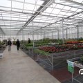 IMG_830191