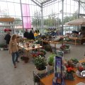 IMG_830194