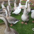 IMG_830202