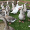 IMG_830203