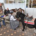 IMG_830218