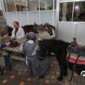 IMG_830221