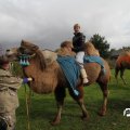 IMG_830230