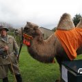 IMG_830237