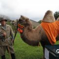 IMG_830238
