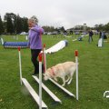 IMG_830252