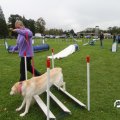 IMG_830253