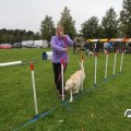 IMG_830261