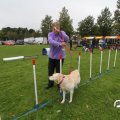 IMG_830262