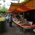 IMG_830270