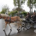 IMG_830280
