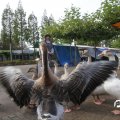 IMG_830282