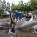 IMG_830283