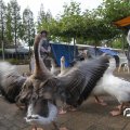 IMG_830284