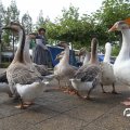 IMG_830286